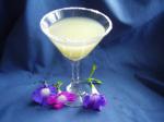 Canadian Saras Perfect Margarita Drink