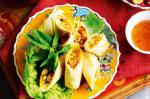 Vietnamese Baked Spring Rolls Recipe Appetizer