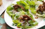 Vietnamese Vietnamese Beef Lettuce Cups Recipe Appetizer