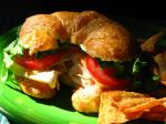 Turkish Turkey  Cheese Croissant Sandwich Appetizer