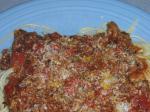 American Quick and Easy Spaghetti with Meat Sauce Dinner