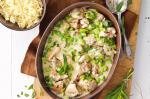 American Chicken And Broad Bean Fricassee Recipe Appetizer