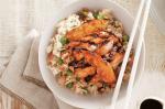 American Teriyaki Chicken With Fried Rice Recipe BBQ Grill