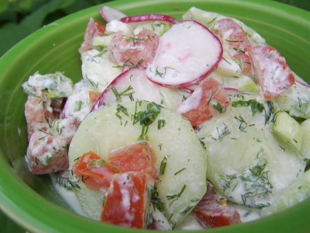 American Creamy Garden Cucumber Salad Appetizer