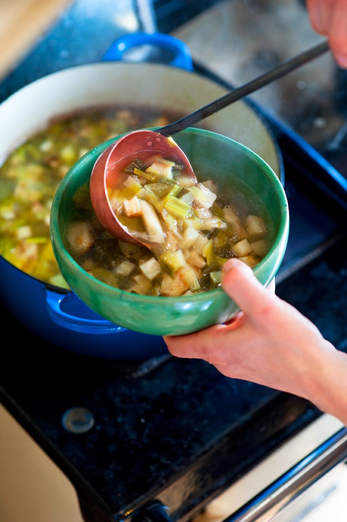 American Chicken and Roast Parsnip Soup Appetizer