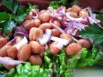 American Tuscan Bean and Onion Salad Appetizer