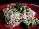 British Fast and Simple Veggieful Peanut Pasta for Two Dinner