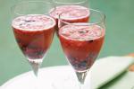 Canadian Berry Wine Spritzers Recipe Appetizer