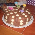 British Cake Chocolate Spongy Dessert
