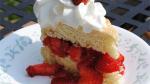 Danish Strawberry Shortcake Recipe Dessert
