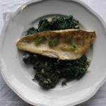 Fried Pikeperch recipe