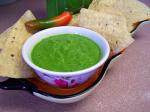 Chilean Smooth and Spicy Poblano Salsa Other