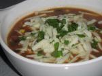 Mexican Refried Bean Soup 11 Other