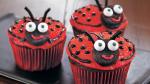 Canadian Ladybug Cupcakes Dinner