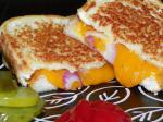 Australian Kristens Grilled Cheese and Red Onion Sandwich Appetizer