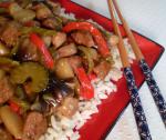 Asian Oriental Pork Stew 2 Dinner