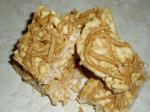 American Peanut Butter Rice Crispy Bars 2 Dinner