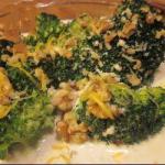 Creamy Broccoli Casserole 2 recipe
