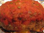 Turkish Turkey Salsa Meatloaf Appetizer