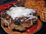 Turkish Southwestern Turkey Burgers 2 Appetizer