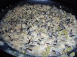 Turkish Crock Pot Wild Rice Casserole 1 Dinner