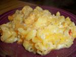 Turkish Oven Mac and Cheese Dinner
