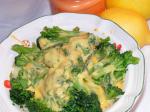 Turkish Broccoli With Cheese Sauce 3 Appetizer