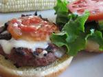 Turkish Texmex Turkey Burgers 1 Dinner