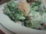 Turkish Broccoli Salad 54 Appetizer