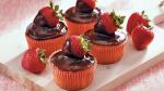 American Chocolatecovered Berry Cupcakes Dessert