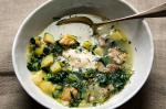 Australian Clam Chowder With Spinach and Dill Recipe Appetizer
