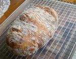 British Our Daily Bread in a Crock  Weekly Make and Bake Rustic Bread Breakfast