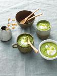 American Cooling Avocado Soup Appetizer