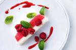 American Yoghurt and Berry Gelato Terrine Recipe Dessert