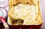 American Greek Beef And Spinach Pie Recipe Appetizer