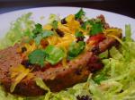 American Spicy Tex Mex Meatloaf Appetizer