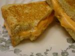 American grilled Cheese 4 Appetizer