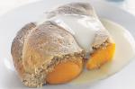 Dutch Peach Cobbler Recipe 43 Dessert