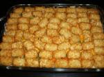 Canadian Tater Tot Casserole With Veggies Appetizer