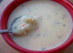 Hungarian Cheese Potato Soup 7 Appetizer