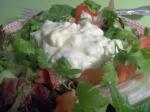 American Creamy Blue Cheese Dressing 7 Appetizer