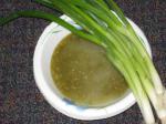 American Green Onions and Salsa Appetizer