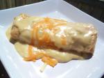 Peru Creamy Cheese Enchiladas Appetizer