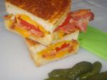 American Grilled Cheddar Tomato and Bacon Sandwiches Appetizer