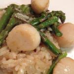 American Risotto with Asparagus and Shells Saint Jacques Appetizer
