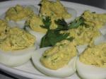 American Curry Deviled Eggs With Cilantro Appetizer