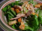 American Grilled Chicken Caesar Salad 9 Dinner