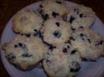 Belgian Blueberry Streusel Muffins 17 Dessert