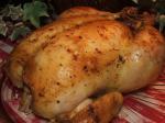 Turkish Delicious Roast Chicken or Turkey Cornish Hens Etc Dinner