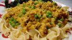 Turkish Ground Turkey With Creamy Squash Sauce over Noodles Appetizer